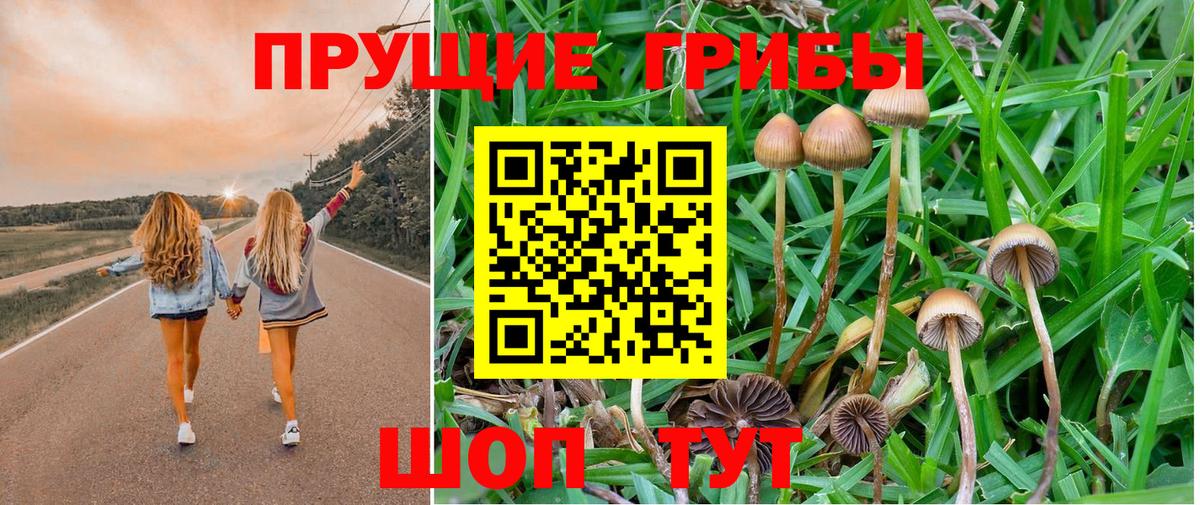 Галлюциногенные грибы Psilocybine cubensis Гагарин