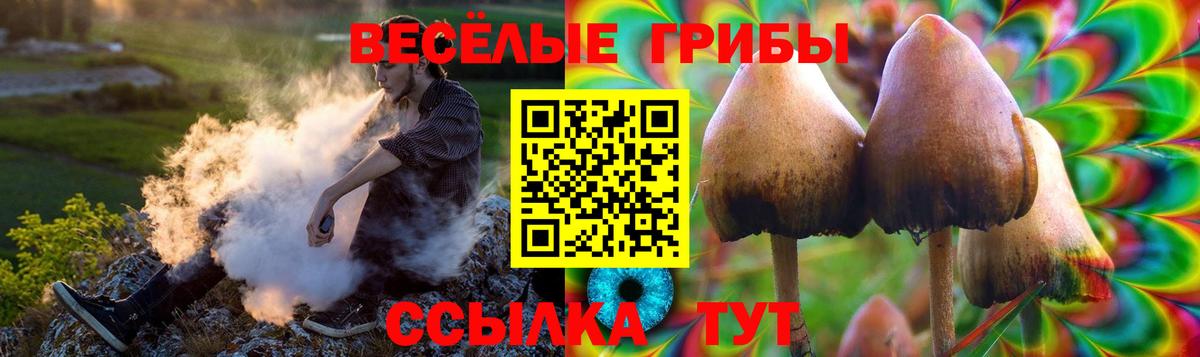 Псилоцибиновые грибы мицелий  где найти   Гагарин  Вход с VPN 